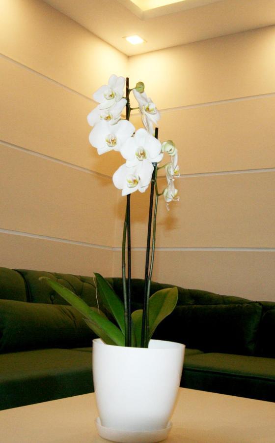 Apartment Jasmine 2 Belgrade Extérieur photo